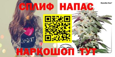 сатива Заволжье