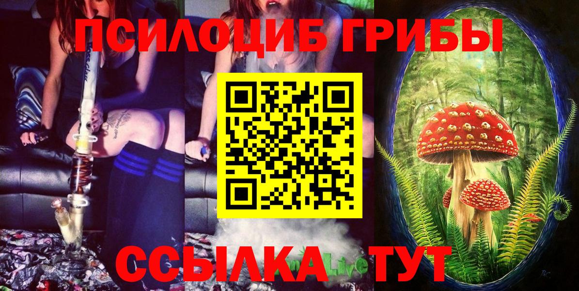 Псилоцибиновые грибы Magic Shrooms Малгобек