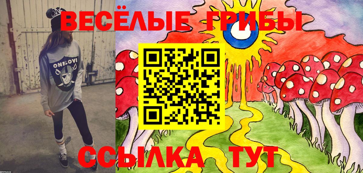Малгобек  Галлюциногенные грибы GOLDEN TEACHER  Вход с VPN 
